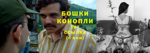 МДПВ Нефтегорск