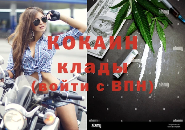spice Алзамай