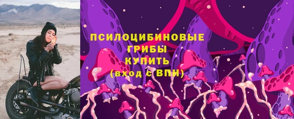 spice Алзамай